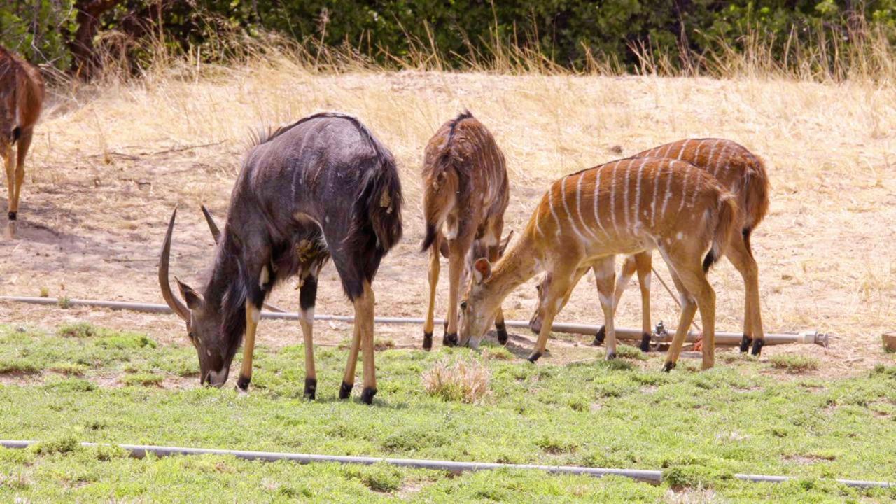 Uitkyk Guest Farm Hotel Usakos Kültér fotó
